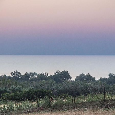 Villa Manoutsio Episkopi-Chania Zewnętrze zdjęcie